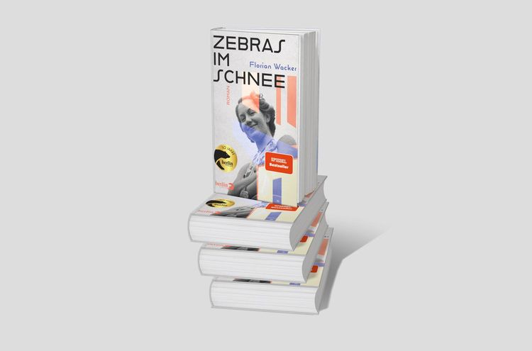 Produktbild: Zebras im Schnee