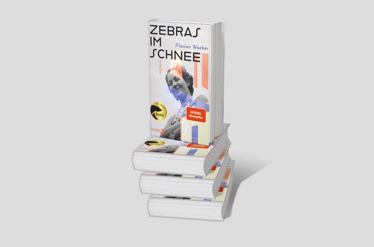 Produktbild: Zebras im Schnee