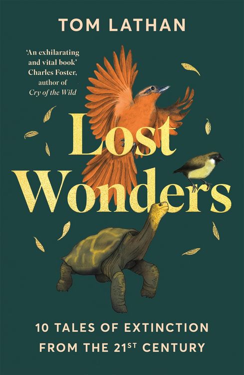 Produktbild: Lost Wonders