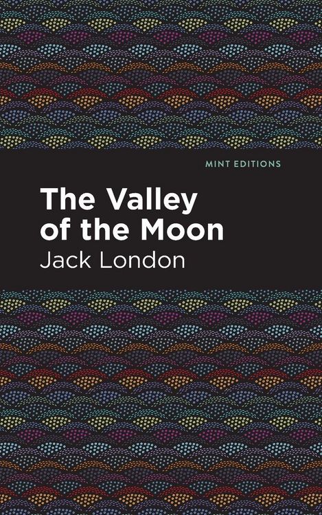 Produktbild: The Valley of the Moon