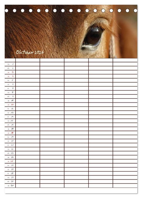Produktbild: Der Kaltblut-Familienplaner (Tischkalender 2026 DIN A5 hoch), CALVENDO Monatskalender