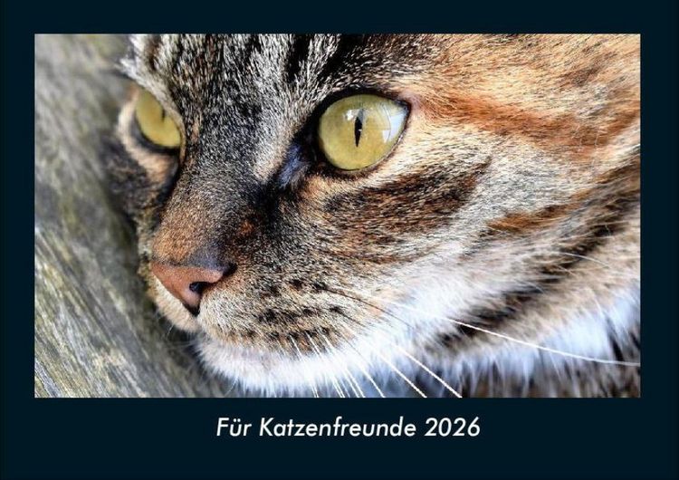Produktbild: F&uuml;r Katzenfreunde 2026 Fotokalender DIN A4