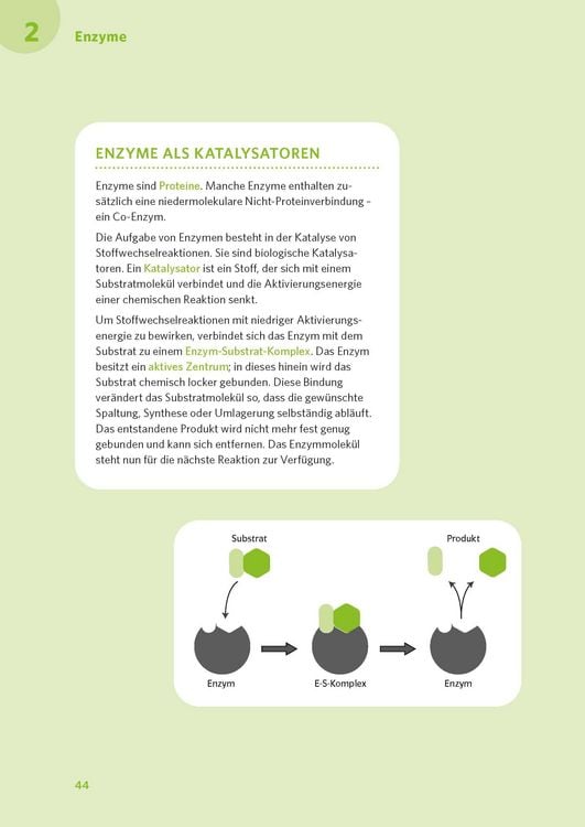 Produktbild: PONS Abi-Check XXL Biologie