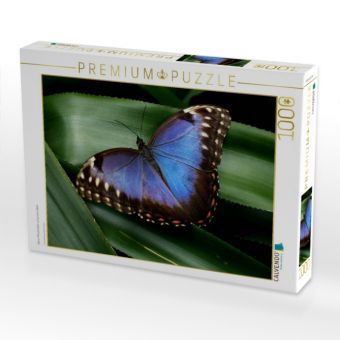 Produktbild: CALVENDO Puzzle Blauer Morphofalter auf gr&uuml;nem Blatt | 1000 Teile Lege-Gr&ouml;&szlig;e 64x48cm Foto-Puzzle f&uuml;r gl&uuml;ckliche Stunden