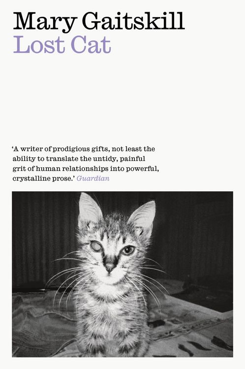 Produktbild: Lost Cat