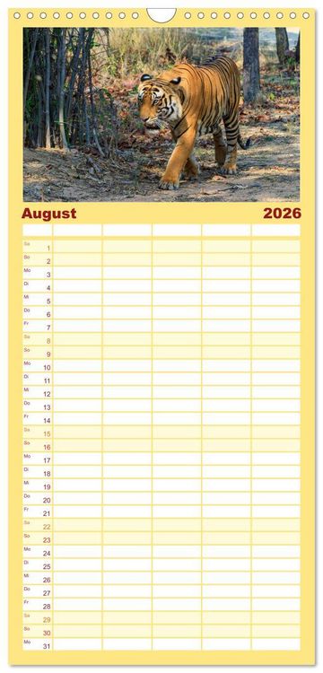 Produktbild: Familienplaner 2026 - Faszination Indien mit 5 Spalten (Wandkalender, 21 x 45 cm) CALVENDO