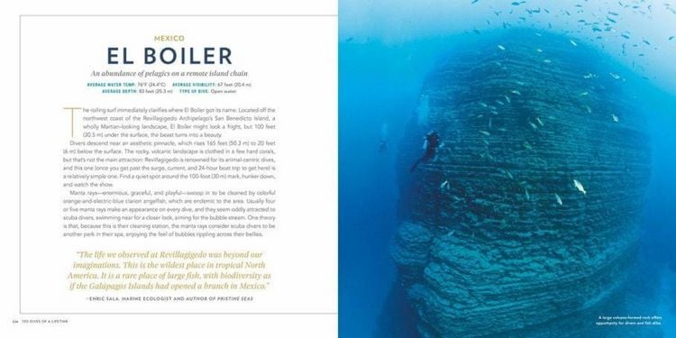 Produktbild: Big Blue