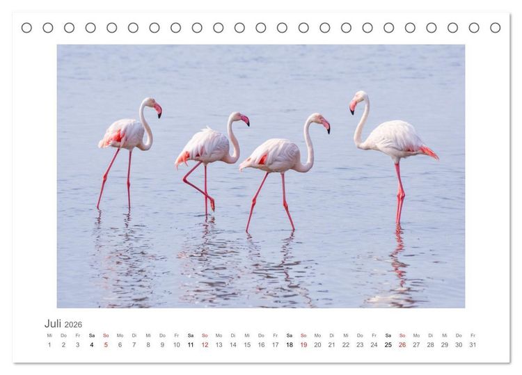 Produktbild: Namibia - unterwegs mit Julia Hahn (Tischkalender 2026 DIN A5 quer), CALVENDO Monatskalender