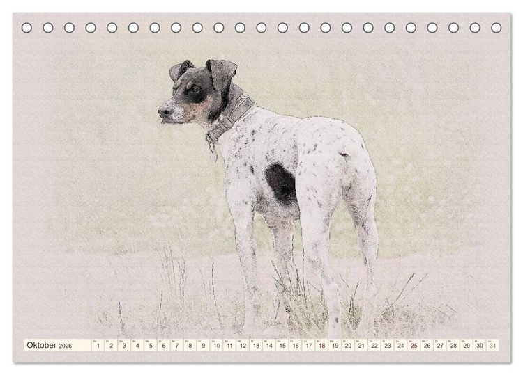 Produktbild: Bodeguero Andaluz 2026 (Tischkalender 2026 DIN A5 quer), CALVENDO Monatskalender
