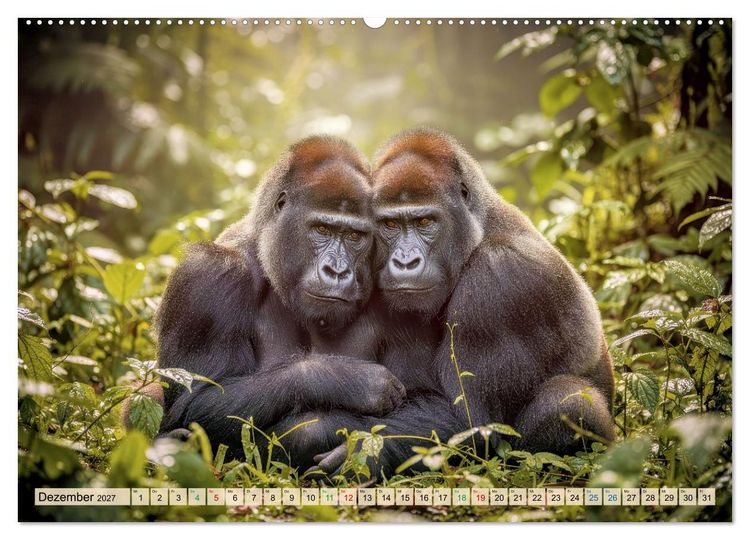 Produktbild: Die intelligentesten Tiere - Weltweit (Wandkalender 2027 DIN A2 quer), CALVENDO Monatskalender