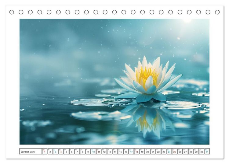 Produktbild: Lichtspiel der Seerosen (Tischkalender 2026 DIN A5 quer), CALVENDO Monatskalender