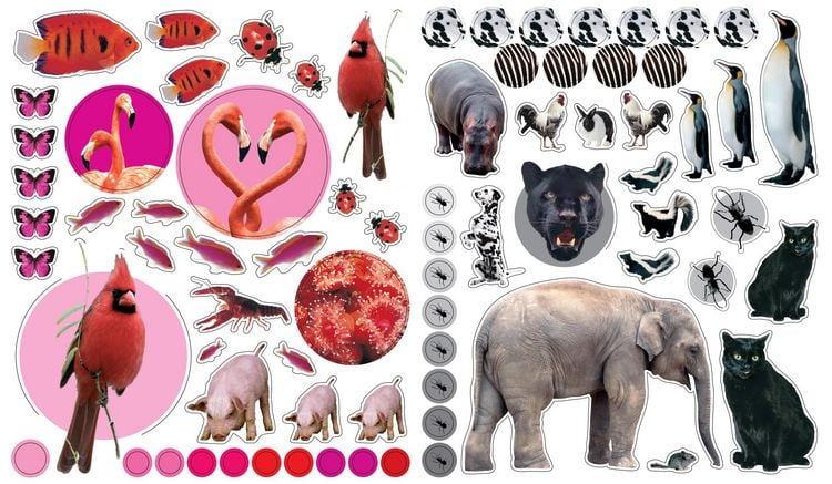 Produktbild: EyeLike Stickers: Animals