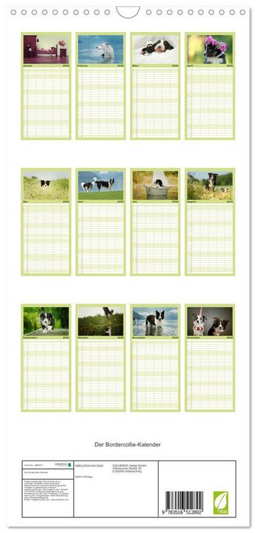 Produktbild: Familienplaner 2026 - Der Bordercollie-Kalender mit 5 Spalten (Wandkalender, 21 x 45 cm) CALVENDO