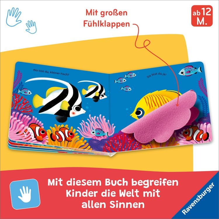Produktbild: Wo bist du, kleiner Fisch?