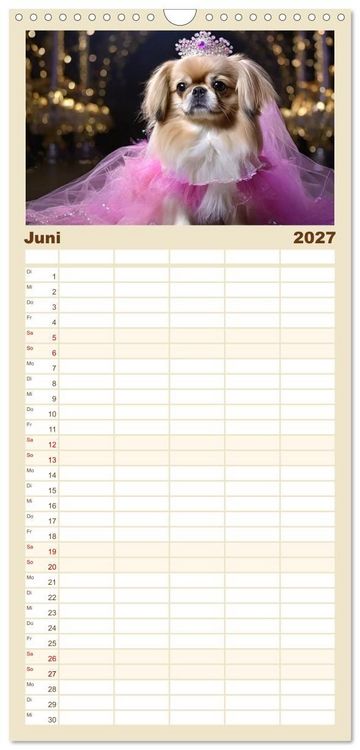 Produktbild: Familienplaner 2027 - Kleine Hunde - Gro&szlig;e Diven mit 5 Spalten (Wandkalender, 21 x 45 cm) CALVENDO