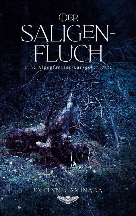 Produktbild: Der Saligenfluch