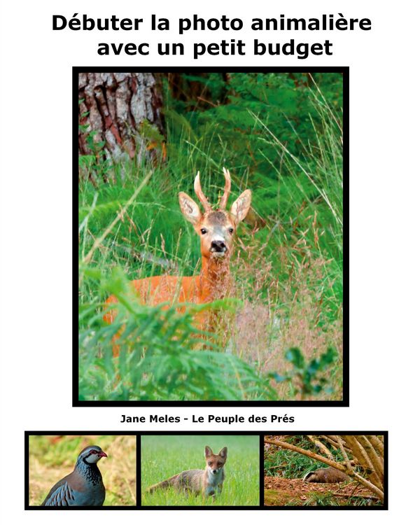 Produktbild: D&eacute;buter la photo animali&egrave;re avec un petit budget