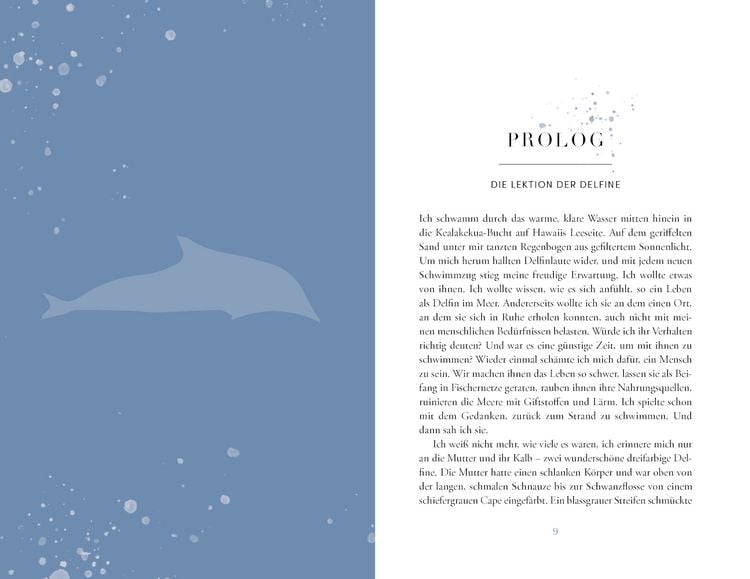 Produktbild: Die Reise der Wale