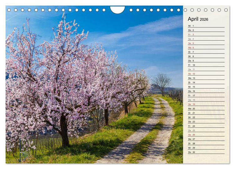 Produktbild: Auf Schusters Rappen... S&uuml;dlicher Oberrhein und S&uuml;dschwarzwald (Wandkalender 2026 DIN A4 quer), CALVENDO Monatskalender
