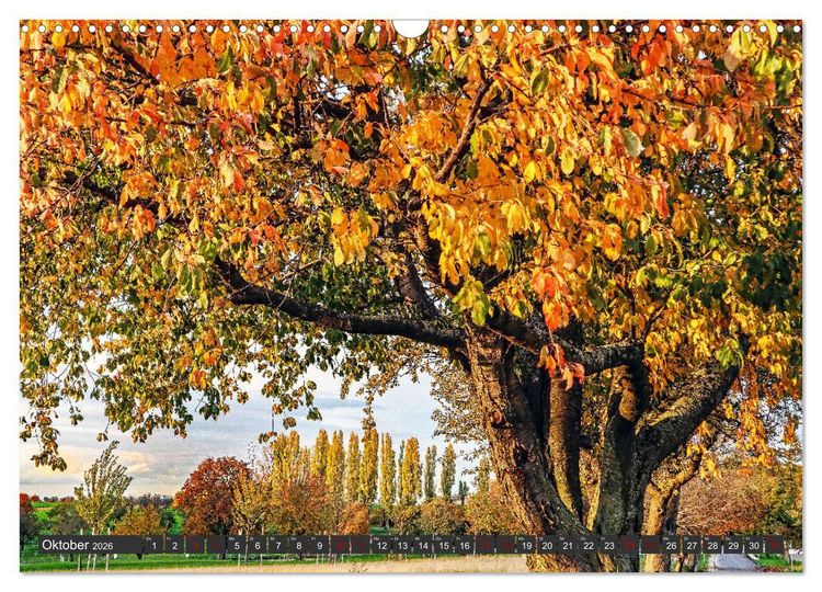 Produktbild: Karlsruhes Osten (Wandkalender 2026 DIN A3 quer), CALVENDO Monatskalender