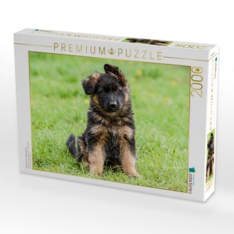 Produktbild: CALVENDO Puzzle Sch&auml;ferhund - Welpe H&uuml;ndin | 2000 Teile Lege-Gr&ouml;&szlig;e 90x67cm Foto-Puzzle f&uuml;r gl&uuml;ckliche Stunden