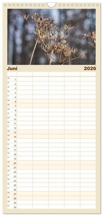 Produktbild: Familienplaner 2026 - Verbl&uuml;hte Sch&ouml;nheiten mit 5 Spalten (Wandkalender, 21 x 45 cm) CALVENDO