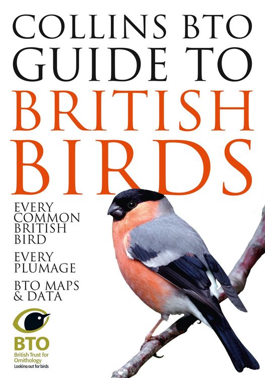 Produktbild: Collins BTO Guide to British Birds