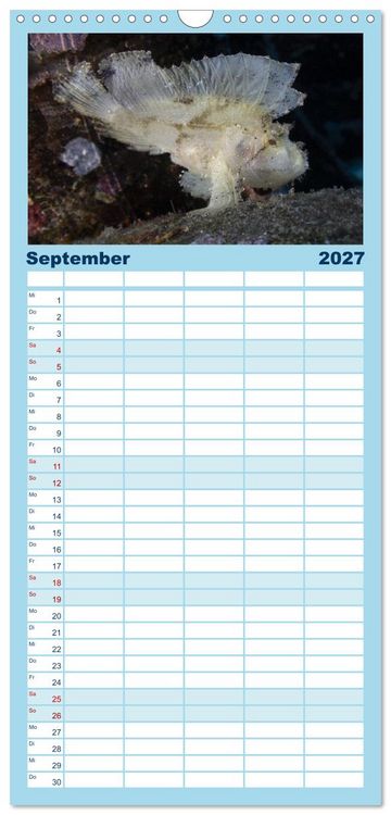 Produktbild: Familienplaner 2027 - Faszination blaue Unterwasserwelt mit 5 Spalten (Wandkalender, 21 x 45 cm) CALVENDO