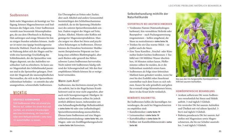 Produktbild: Magen und Darm natürlich behandeln