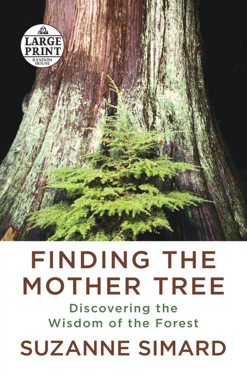 Produktbild: Finding the Mother Tree