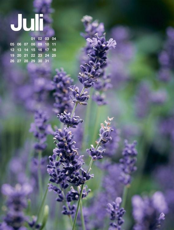 Produktbild: Fr&uuml;hling, Sommer, Herbst & Winter Kalender 2027