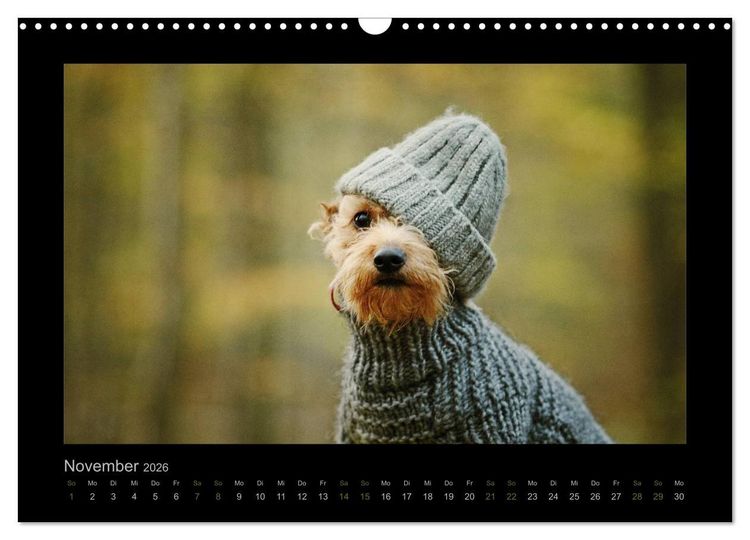Produktbild: Elli Pirelli... aus dem Leben eines fr&ouml;hlichen Pinscher-Dackel-M&auml;dels (Wandkalender 2026 DIN A3 quer), CALVENDO Monatskalender