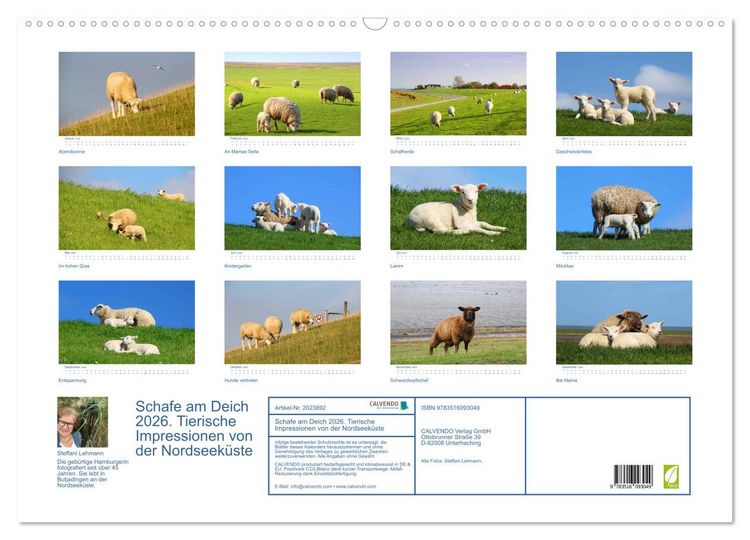 Produktbild: Schafe am Deich 2026. Tierische Impressionen von der Nordseek&uuml;ste (Wandkalender 2026 DIN A2 quer), CALVENDO Monatskalender