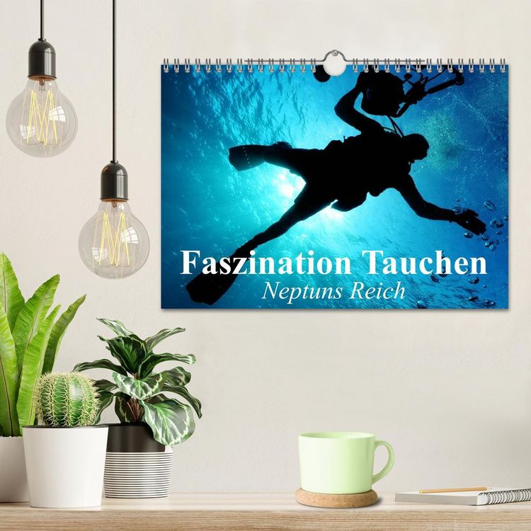 Produktbild: Faszination Tauchen - Neptuns Reich (Wandkalender 2026 DIN A4 quer), CALVENDO Monatskalender