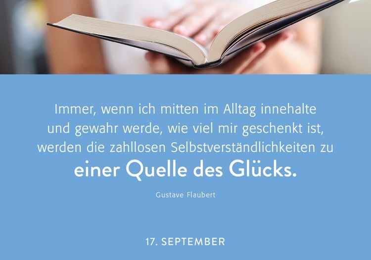 Produktbild: 365 mal Lebensfreude