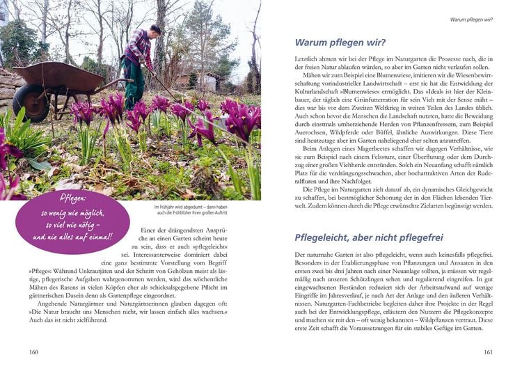 Produktbild: Mein Garten wird ein Naturgarten