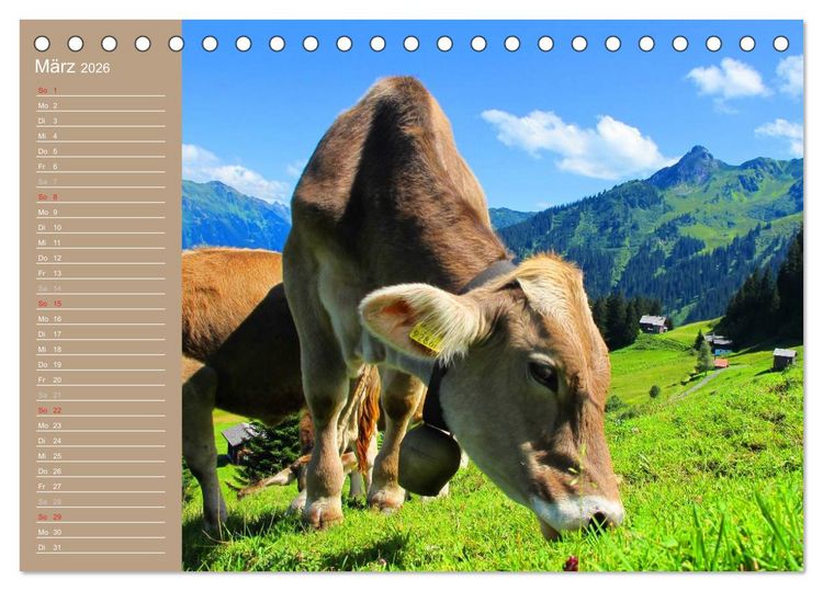 Produktbild: K&uuml;he / Geburtstagskalender (Tischkalender 2026 DIN A5 quer), CALVENDO Monatskalender