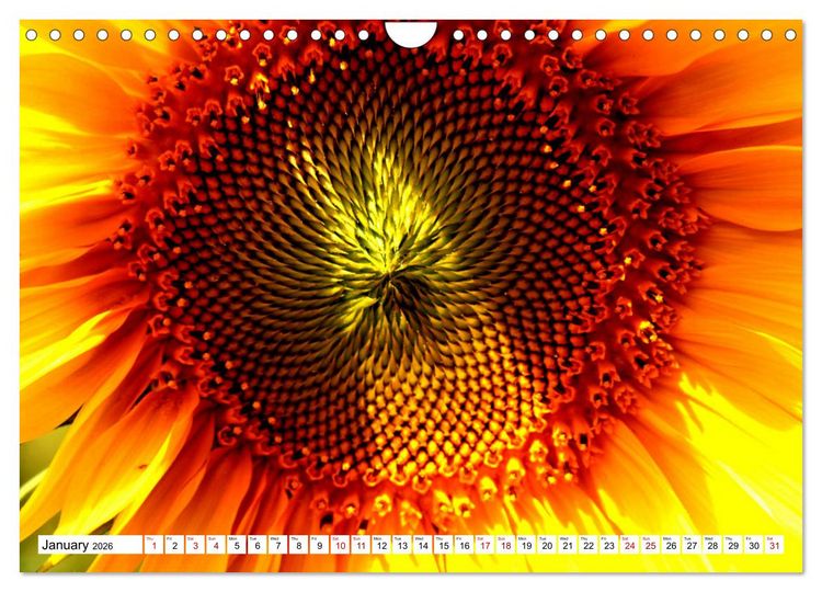 Produktbild: Fascinating colours of flowers (Wall Calendar 2026 DIN A4 landscape), CALVENDO 12 Month Wall Calendar