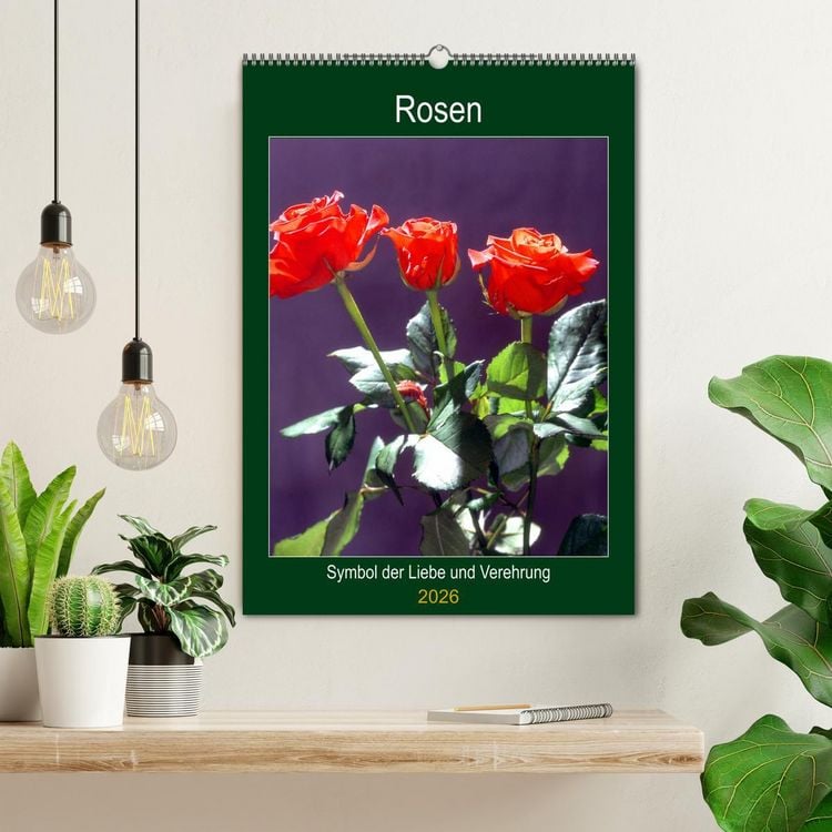 Produktbild: Rosen - Symbol der Liebe und Verehrung (Wandkalender 2026 DIN A2 hoch), CALVENDO Monatskalender
