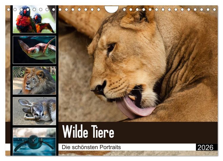 Produktbild: Wilde Tiere - Die sch&ouml;nsten Portraits (Wandkalender 2026 DIN A4 quer), CALVENDO Monatskalender