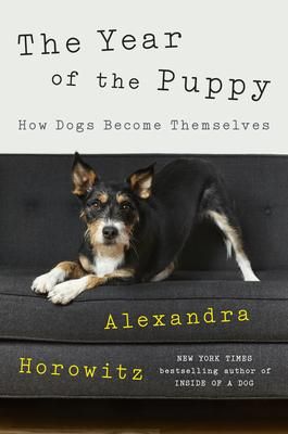 Produktbild: The Year of the Puppy