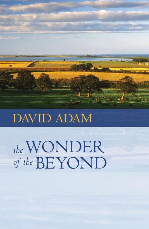 Produktbild: Wonder of the Beyond, The