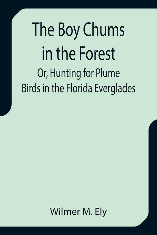 Produktbild: The Boy Chums in the Forest; Or, Hunting for Plume Birds in the Florida Everglades