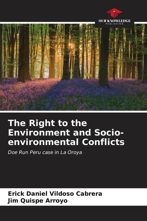 Produktbild: The Right to the Environment and Socio-environmental Conflicts