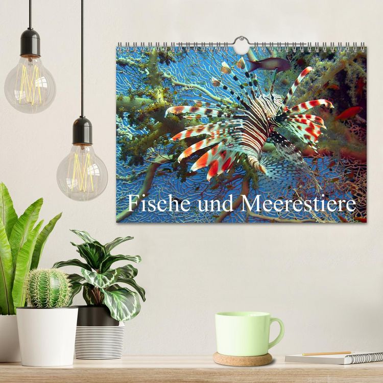 Produktbild: Fische und Meerestiere (Wandkalender 2026 DIN A4 quer), CALVENDO Monatskalender