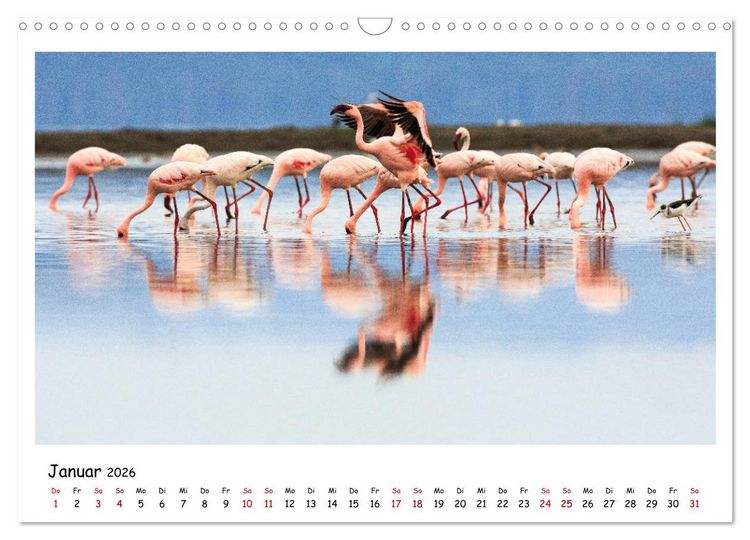 Produktbild: Tierparadies Kenia (Wandkalender 2026 DIN A3 quer), CALVENDO Monatskalender