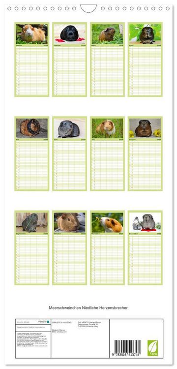 Produktbild: Familienplaner 2026 - Meerschweinchen Niedliche Herzensbrecher mit 5 Spalten (Wandkalender, 21 x 45 cm) CALVENDO