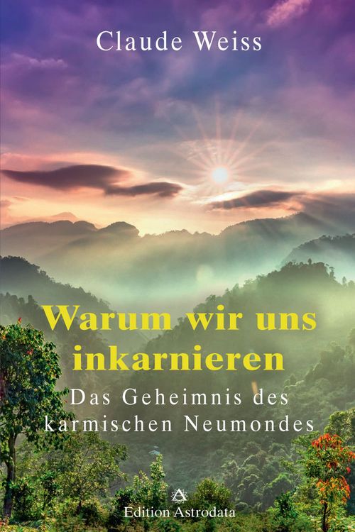 Produktbild: Warum wir uns inkarnieren