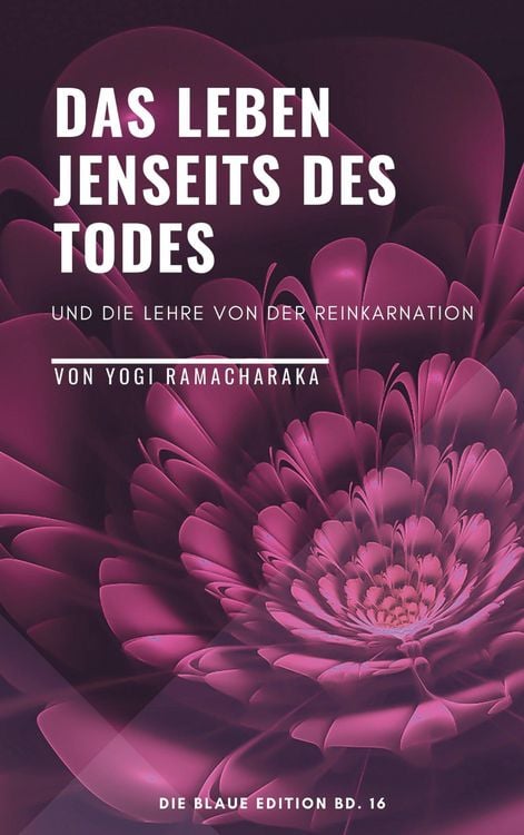 Produktbild: Das Leben jenseits des Todes