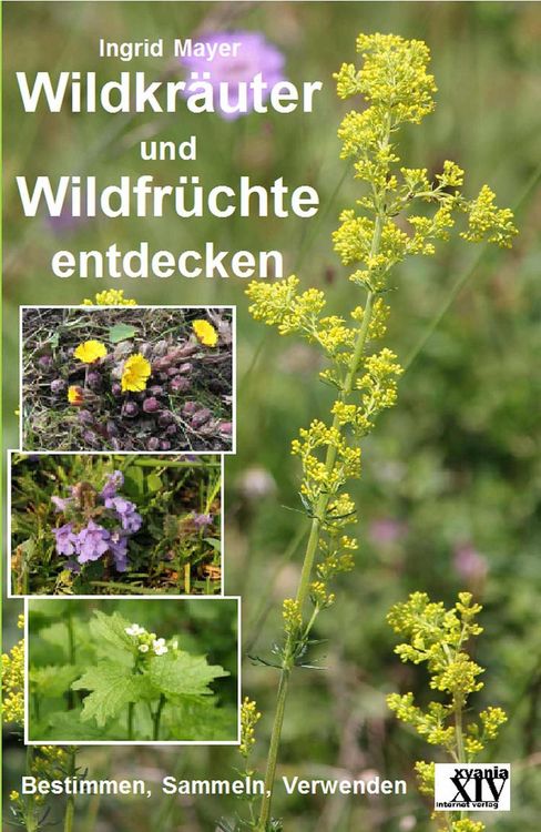 Produktbild: Wildkr&auml;uter und Wildfr&uuml;chte entdecken